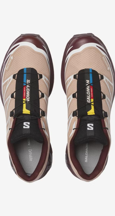 Salomon shoes